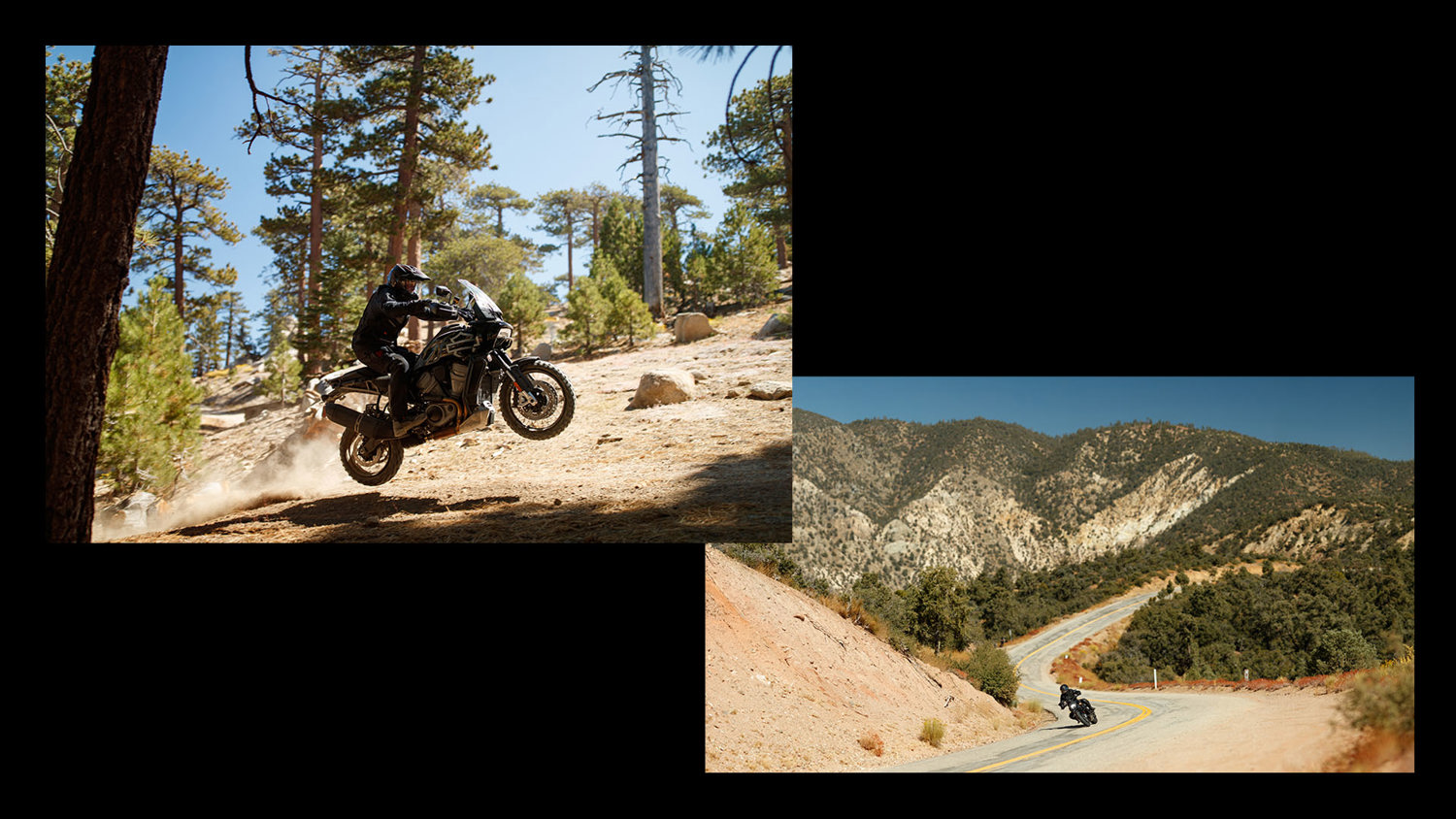 HD Campaign Image 02