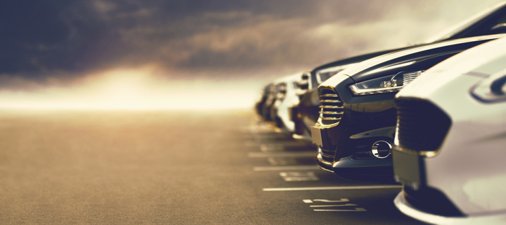 Shutterstock 1557525719